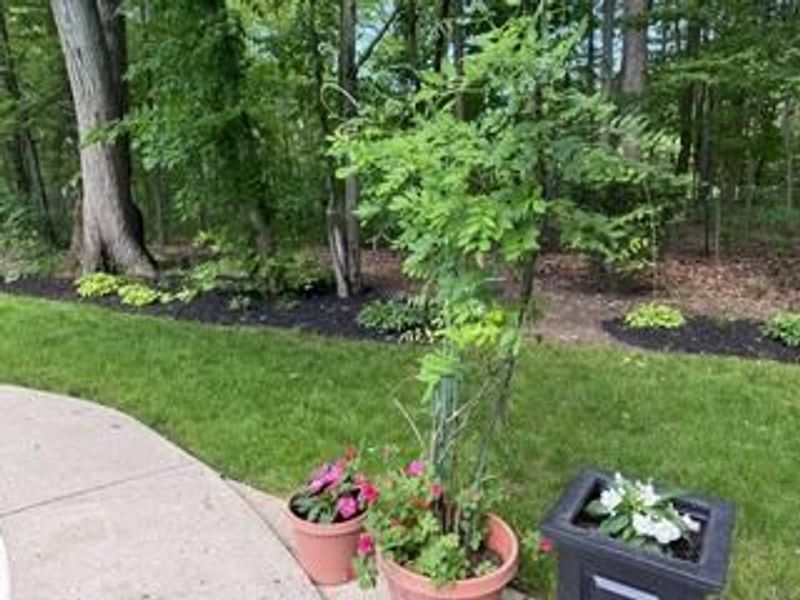 9291 Robinhood Circle , Westerville, OH 43082 Photo 85