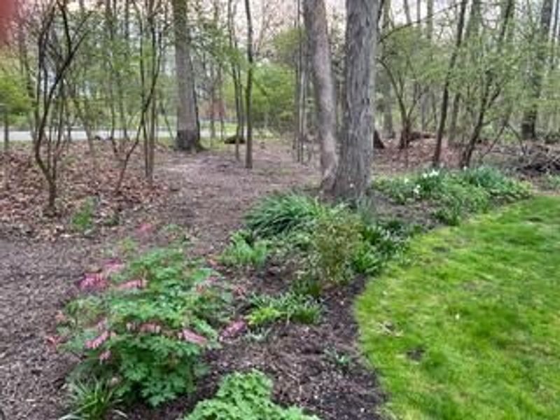 9291 Robinhood Circle , Westerville, OH 43082 Photo 88