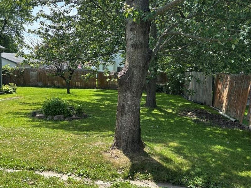 220 Baldwin Avenue, Niles, OH 44446 Photo 4