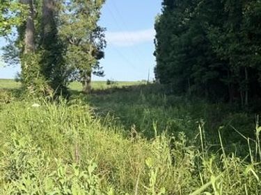 1350 Norwood Mt. Zion Road, Science Hill, KY 42553