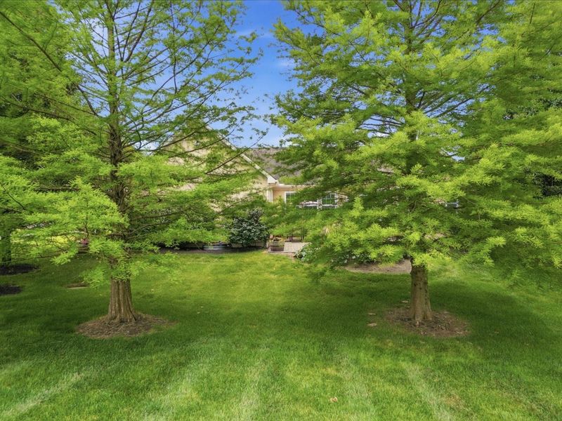 4735 Medalist Court, Westerville, OH 43082 Photo 54