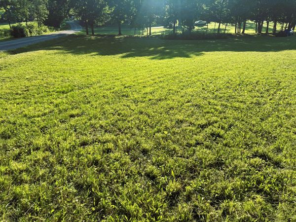 00 County Road 571, Englewood, TN 37329