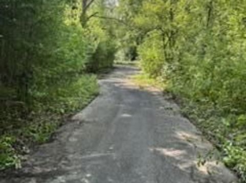 Main Photo