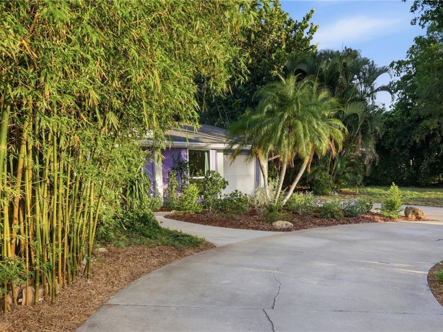 Property Image 59
