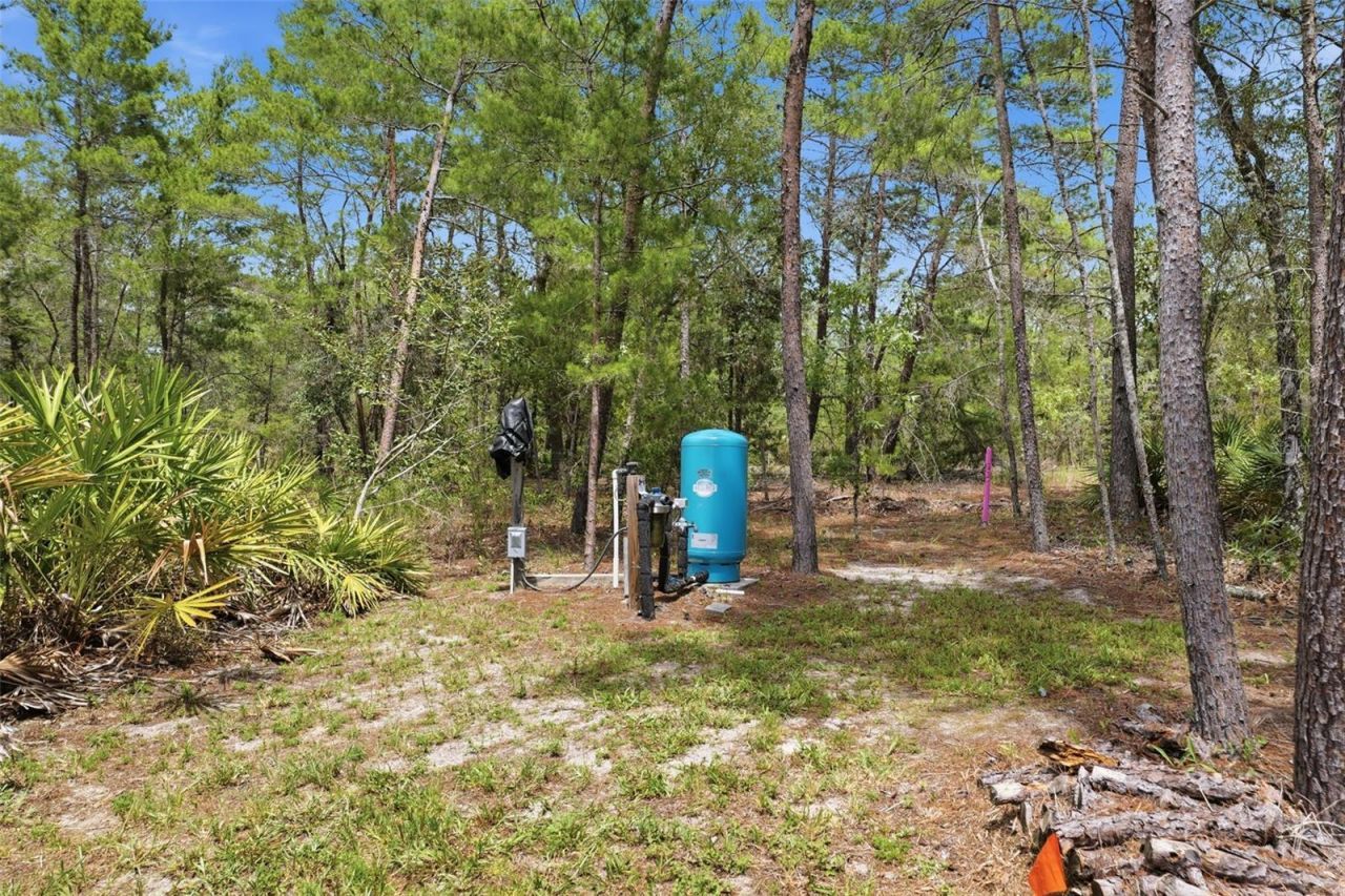 18296 Maberly Road, Weeki Wachee, FL 34614 Photo