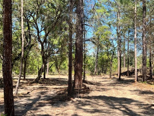219 MAGNOLIA ROAD , HAWTHORNE, FL 32640