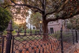 67 Legare Street photo 4