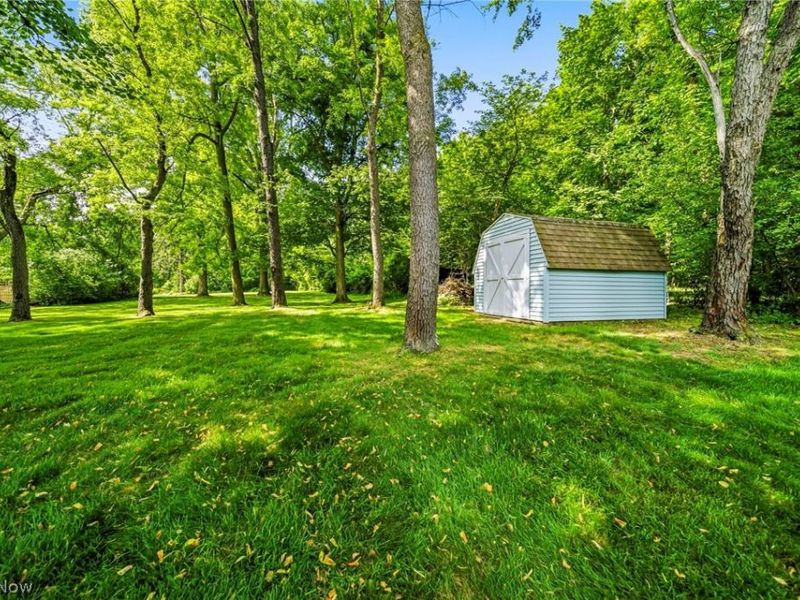 6666 Ridgebury Boulevard, Mayfield Heights, OH 44124 Photo 29