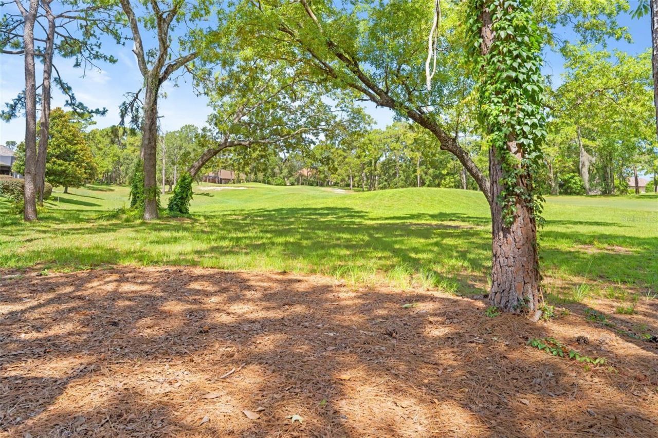 Please Call For Address, Spring Hill, FL 34609 Photo