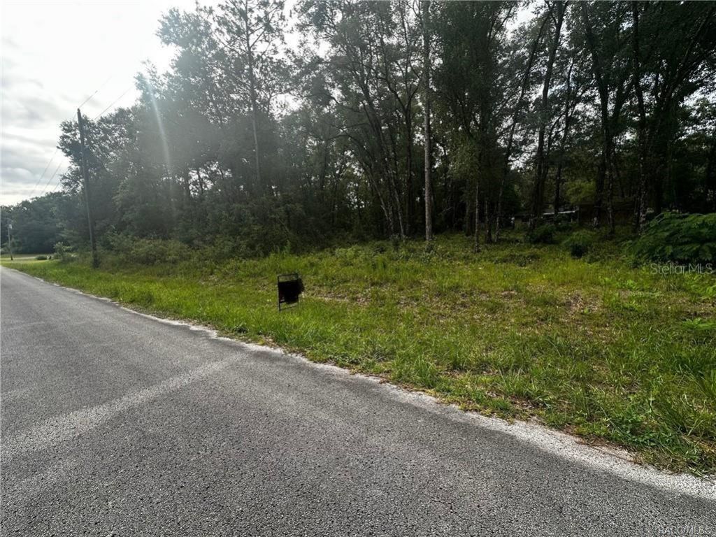 3698 E Johnson Place, Inverness, FL 34453 Photo