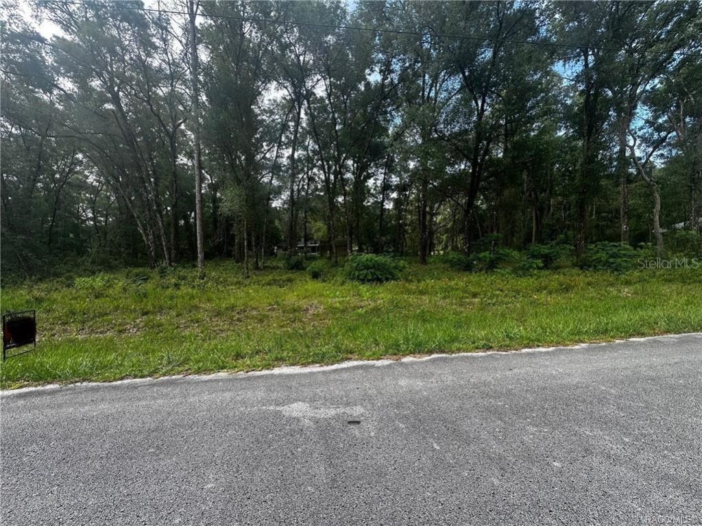 3698 E Johnson Place, Inverness, FL 34453 Photo
