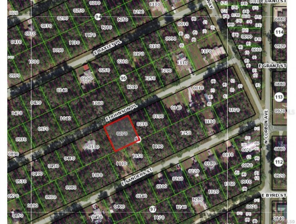 3698 E Johnson Place, Inverness, FL 34453 Photo