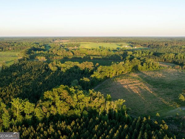 004 Beulah Road Tract 4, Sylvania, GA 30467