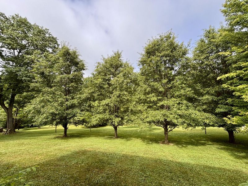225 Maple Ridge Street, Crittenden, KY 41030 Photo 43
