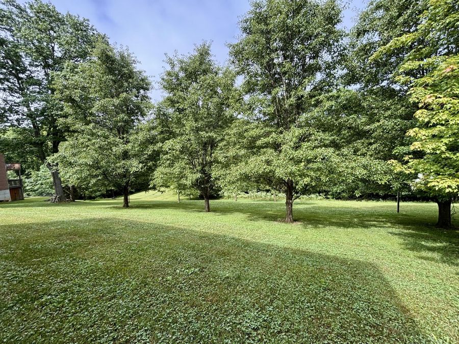 Property Image 47