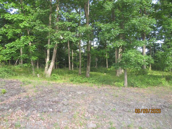 80 Scenicview Drive, Dallas, PA 18612