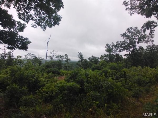 12 Tract 12 , Belleview, MO 63623
