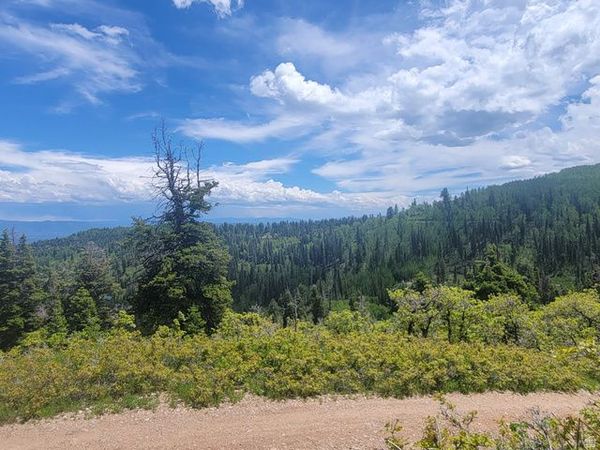 1920 W ELK RD , Unit 78, Coalville, UT 84017