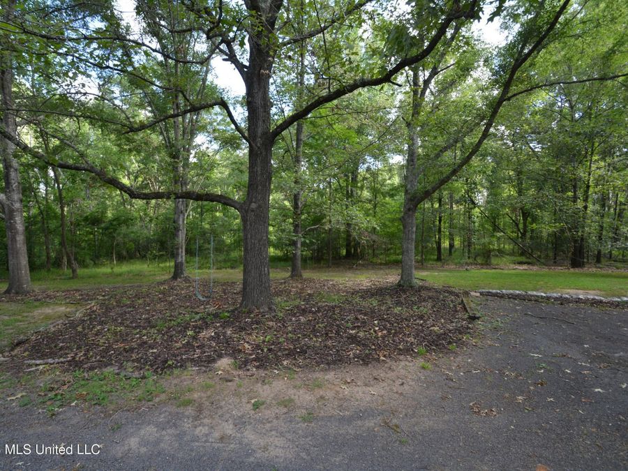 Property Image 64