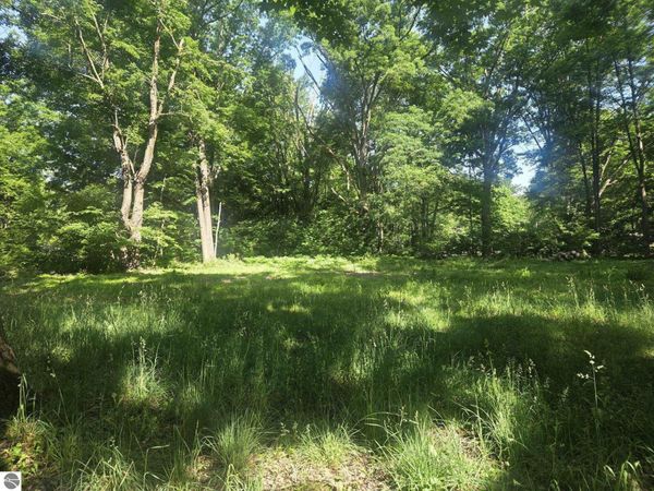 7820 Wilderness Drive, Weidman, MI 48893