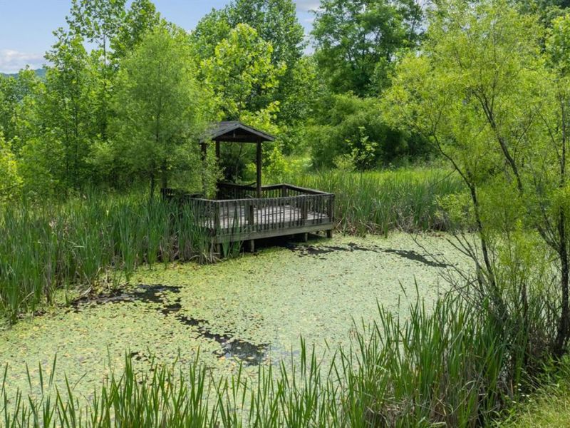 12700 State Route 348, Jefferson Twp, OH 45657 Photo 28