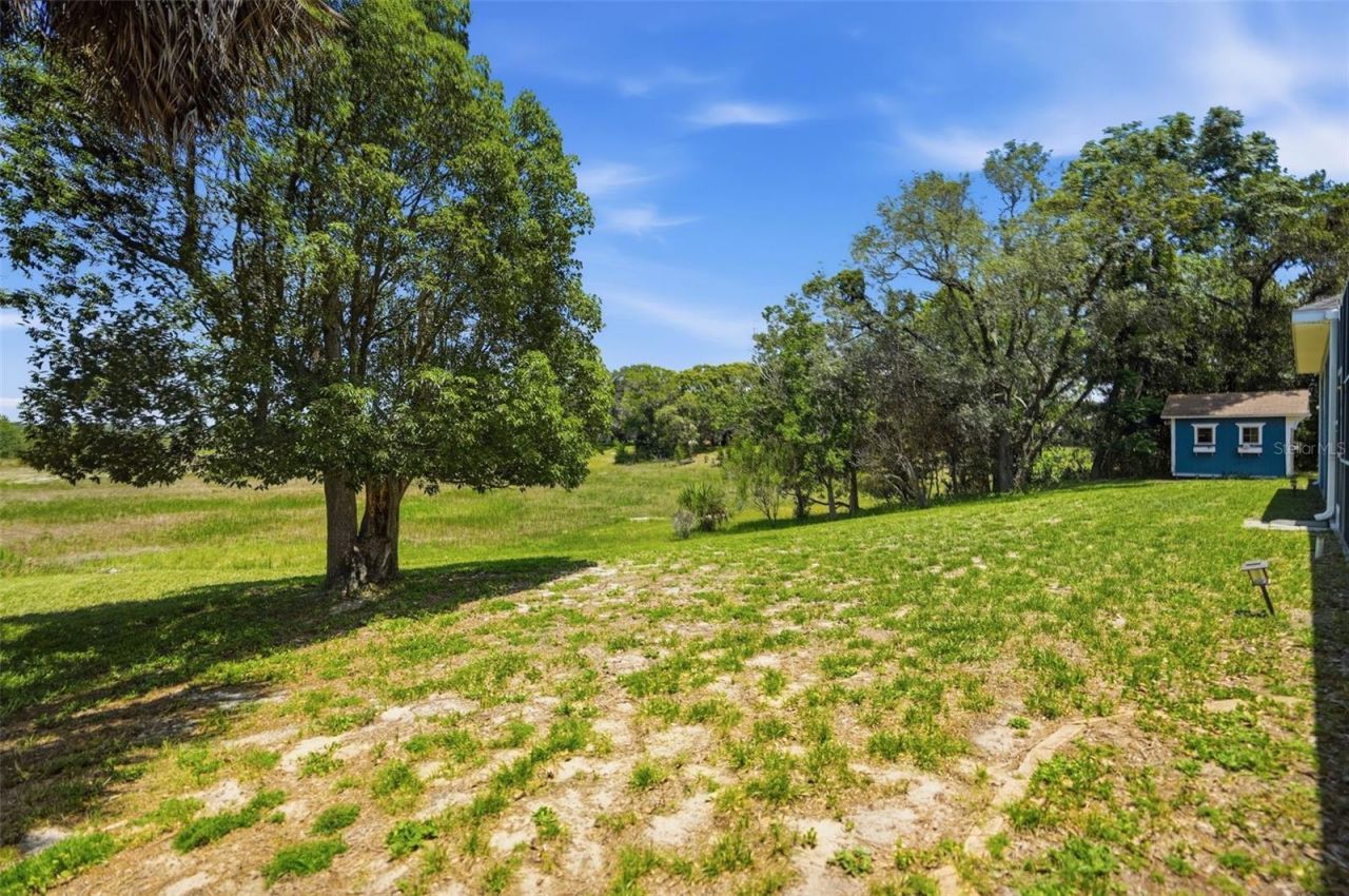 9011 Foxdale Lane , Spring Hill, FL 34608 Photo