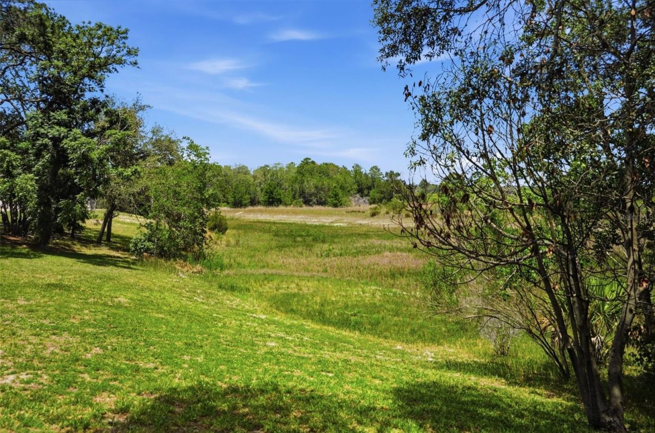 9011 Foxdale Lane , Spring Hill, FL 34608 Photo