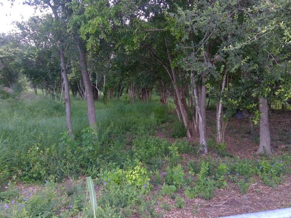 483 OAK KNOLL DR, San Antonio, TX 78228