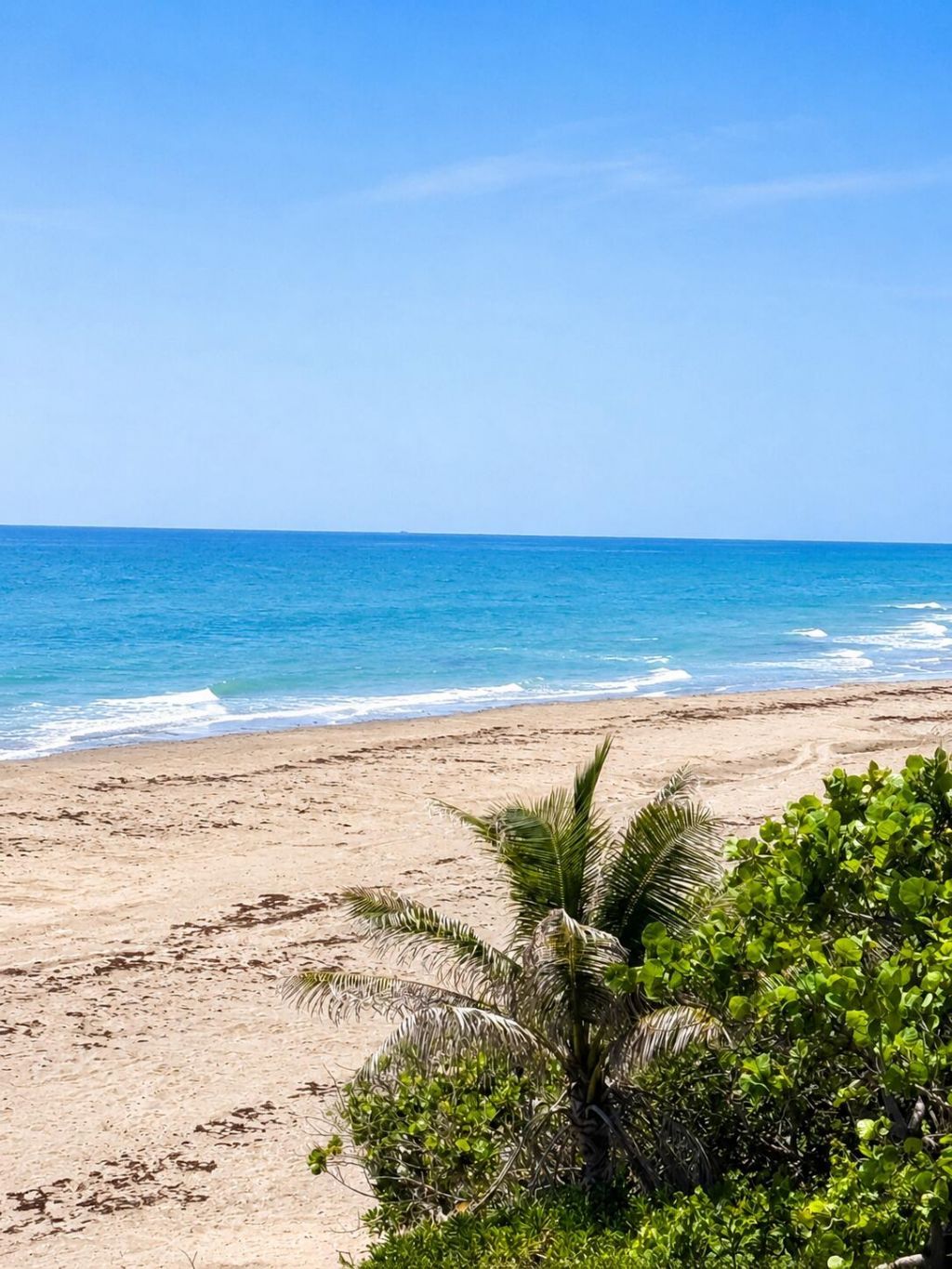 900 Ocean Drive, Unit 202, Juno Beach, FL 33408 Photo