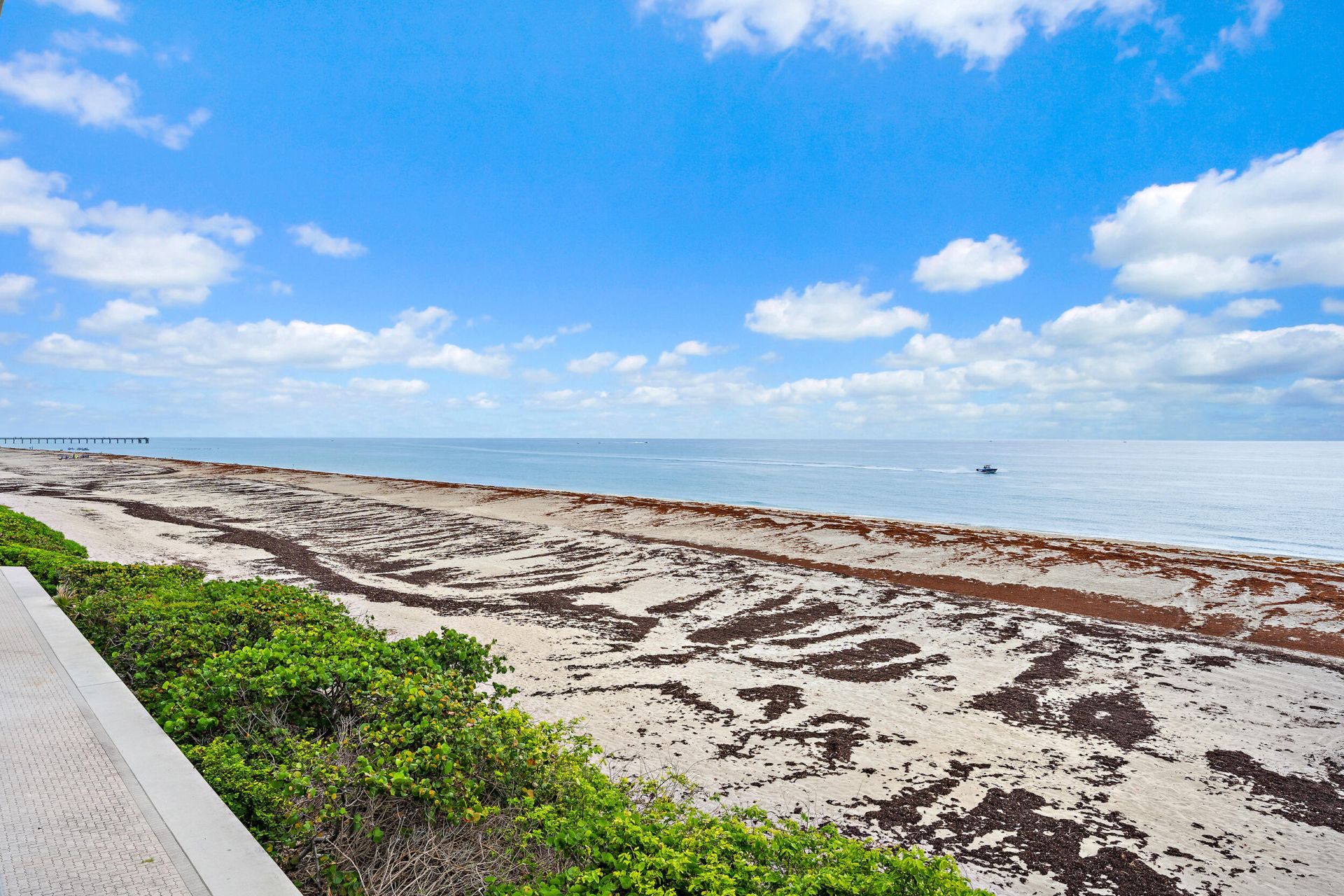 900 Ocean Drive, Unit 202, Juno Beach, FL 33408 Photo