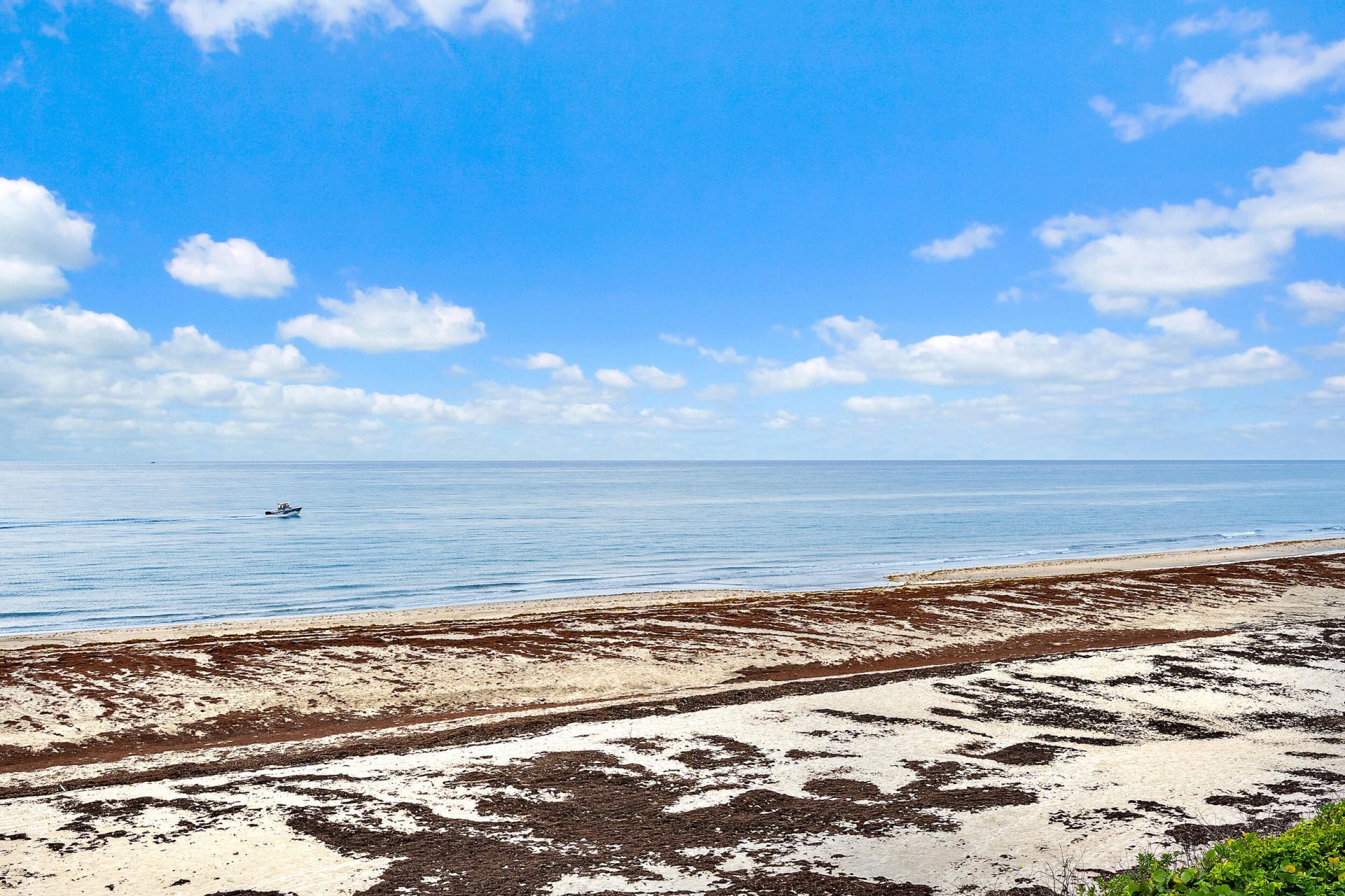 900 Ocean Drive, Unit 202, Juno Beach, FL 33408 Photo