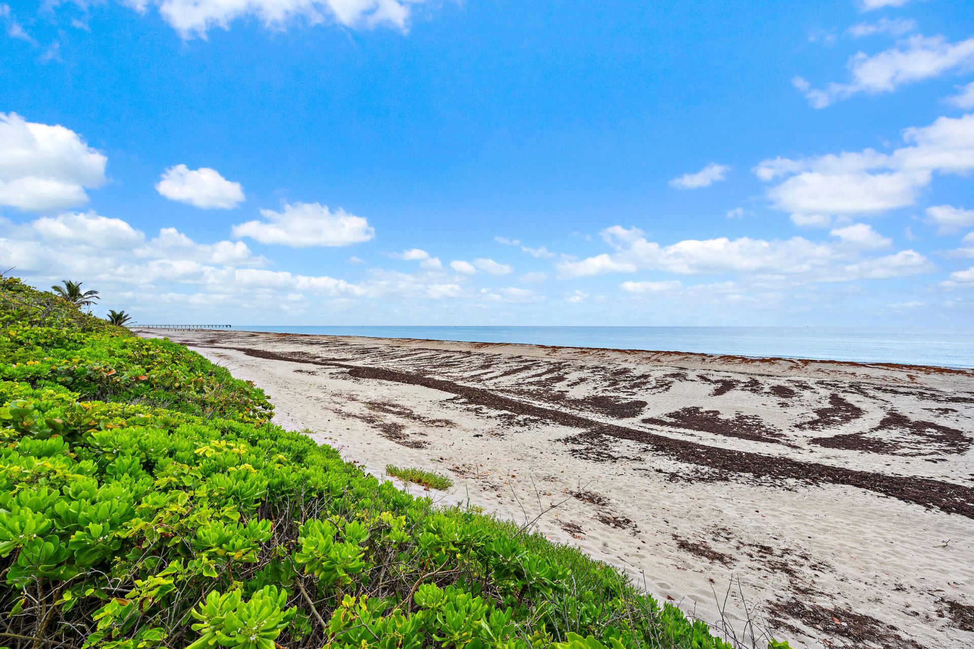 900 Ocean Drive, Unit 202, Juno Beach, FL 33408 Photo