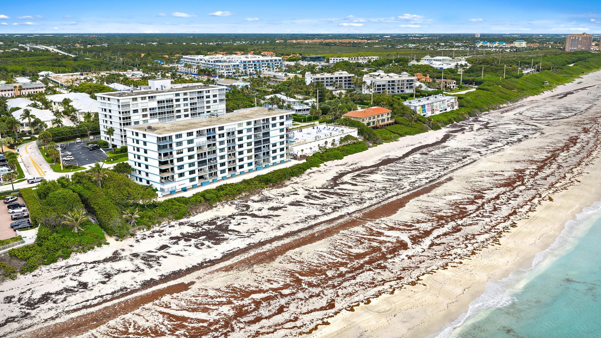 900 Ocean Drive, Unit 202, Juno Beach, FL 33408 Photo