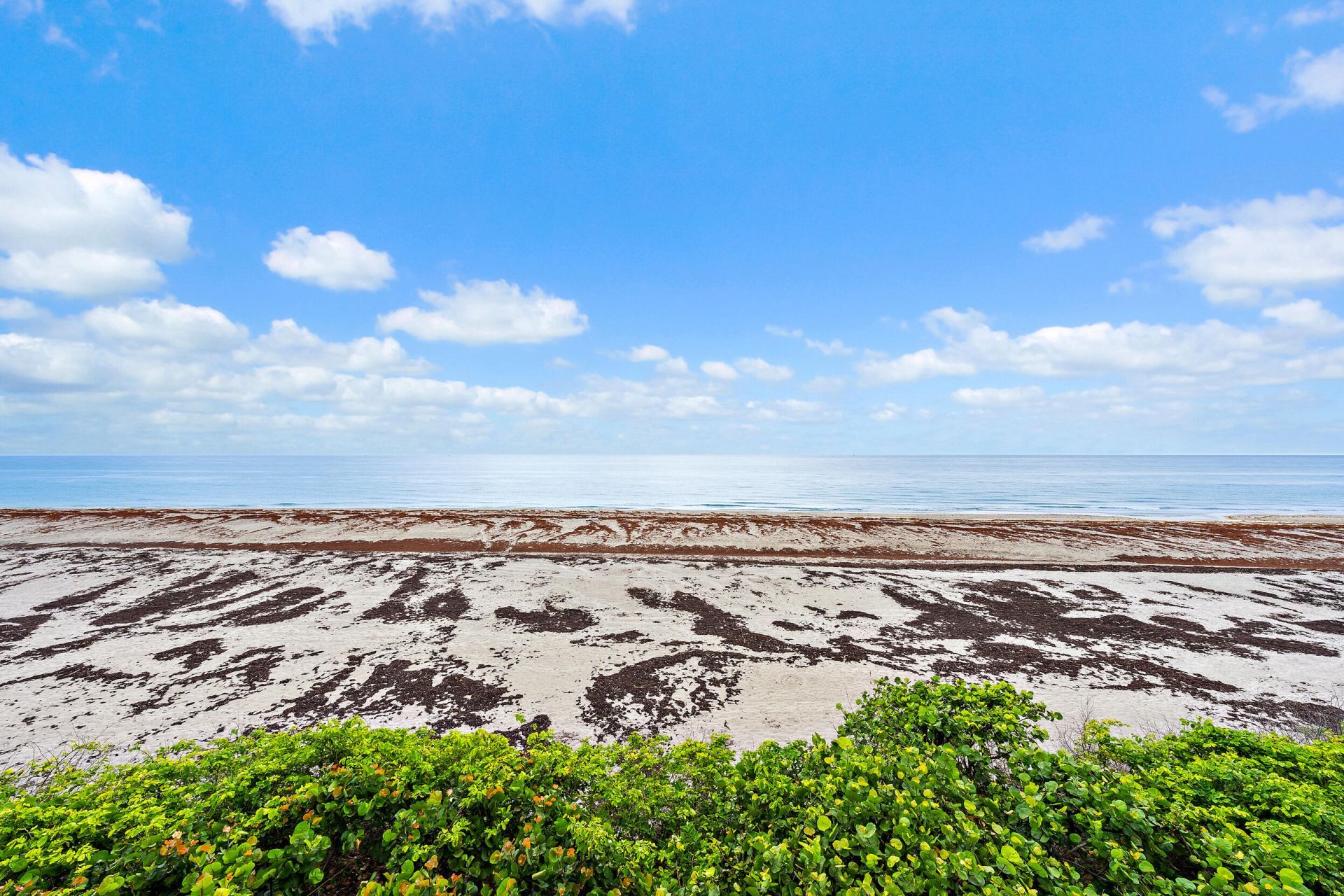 900 Ocean Drive, Unit 202, Juno Beach, FL 33408 Photo
