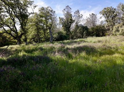 Lot B Troost Trl, North San Juan, CA 95960 Photo