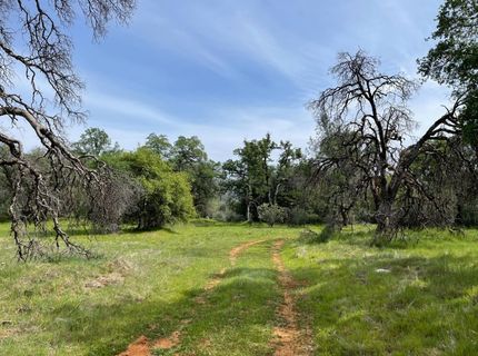 Lot B Troost Trl, North San Juan, CA 95960 Photo