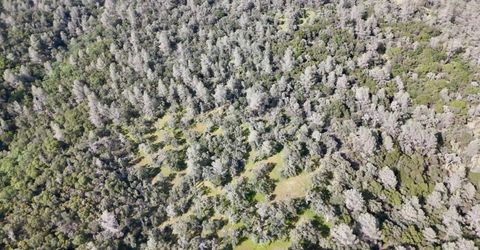 Lot B Troost Trl, North San Juan, CA 95960 Photo
