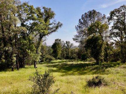 Lot B Troost Trl, North San Juan, CA 95960 Photo