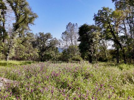 Lot B Troost Trl, North San Juan, CA 95960 Photo