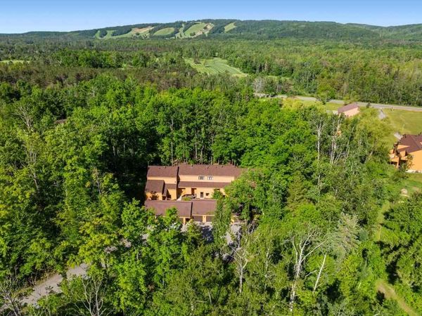 4749 S Pleasantview Road, Unit 100, Harbor Springs, MI 49740