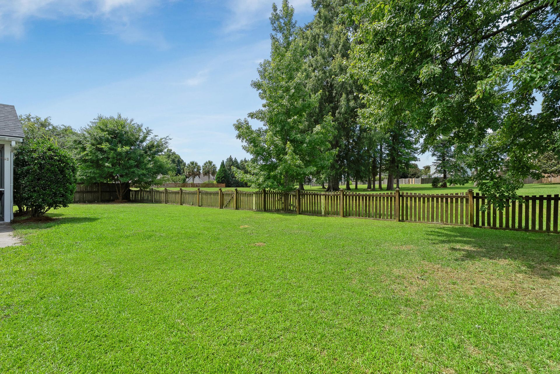 509 Evening Shade Drive Photo 25