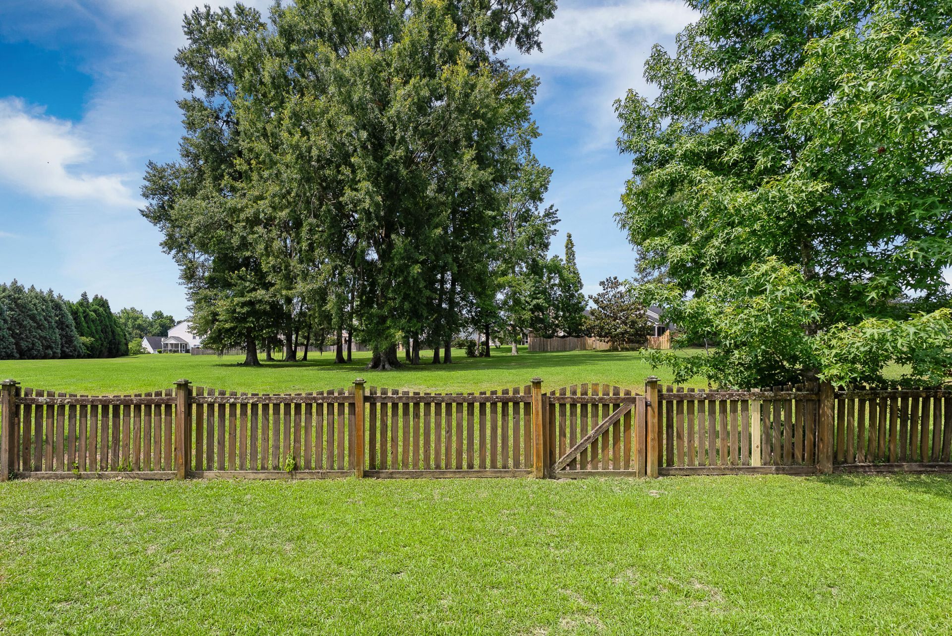 509 Evening Shade Drive Photo 26