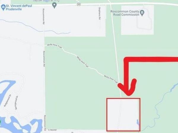 40 AC Nestle Road, Prudenville, MI 48651