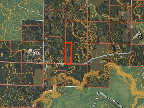 Dickson Road, Brethren, MI 49619