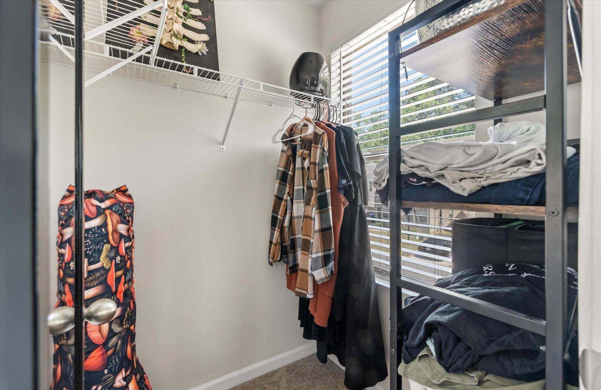 1056 Berry Patch Circle Photo 28