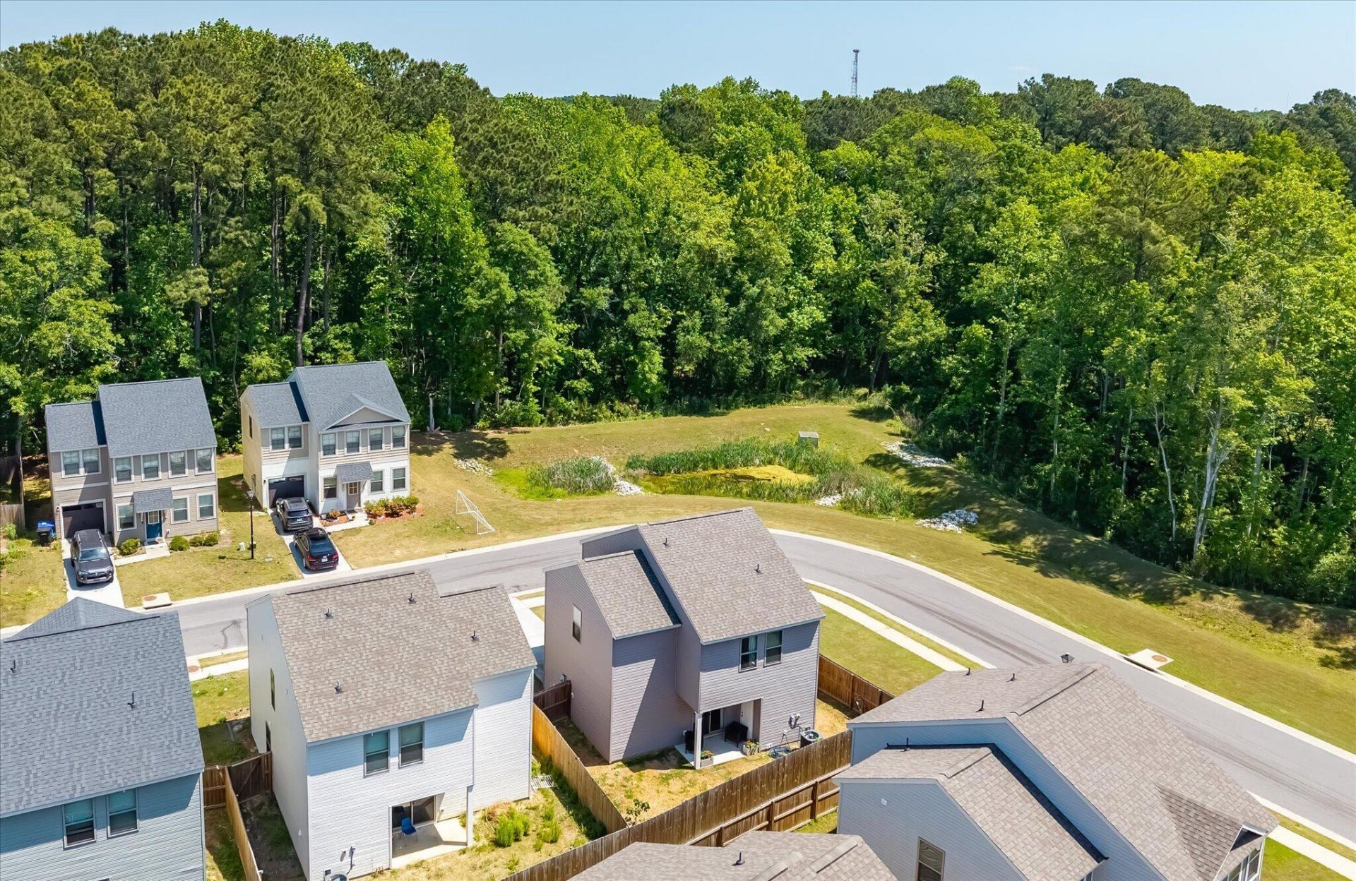 1056 Berry Patch Circle Photo 43