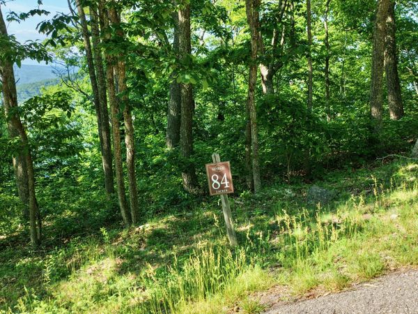 Lot #84; White Rock Trail, Caldwell, WV 24925