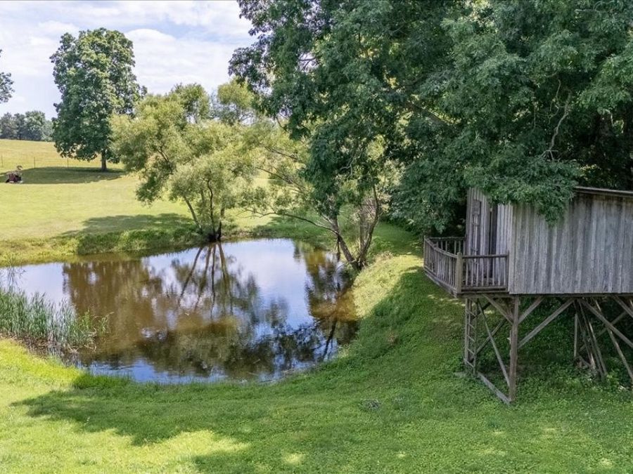 Property Image 44