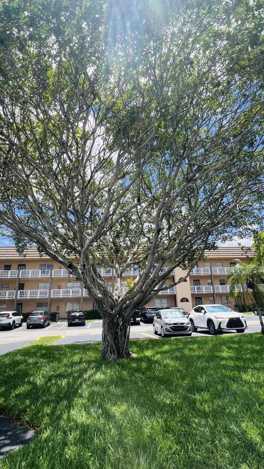 9330 S Sunrise Lakes Boulevard, Unit 304, Sunrise, FL 33322 Photo