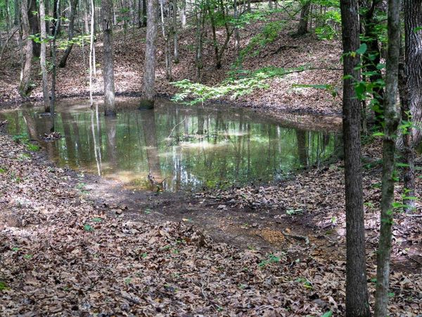 000 Bay Lane, Harrisburg, AR 72432